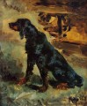 dun a gordon setter belonging to comte alphonse 1881 Toulouse Lautrec Henri de puppy